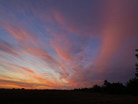 barlabasheni fotója
