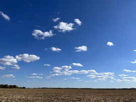 barlabasheni fotója