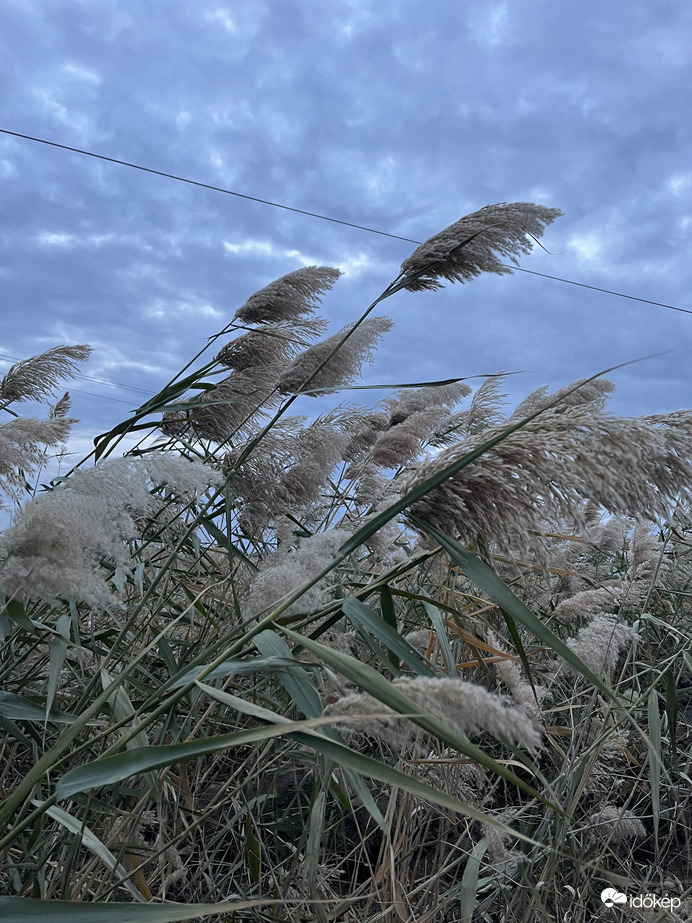 Ismét egy szeles nap