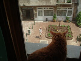 Az utca ellenőrzése