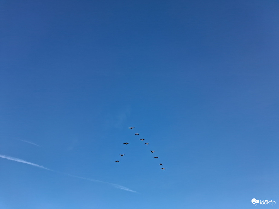 Észlelési fényképek