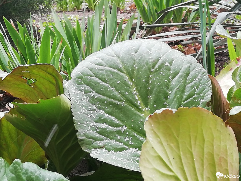 Budapest XI.ker - Gazdagrét