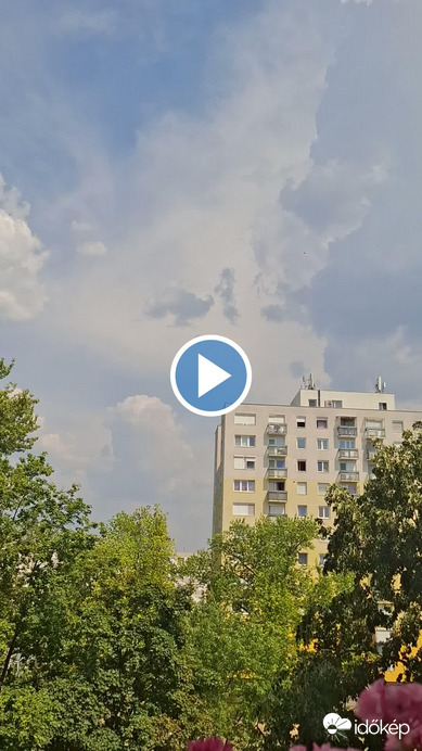 Videók és filmek