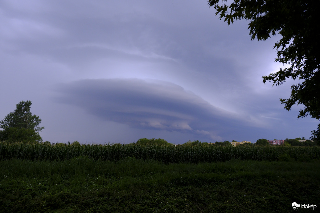 Észlelési fényképek