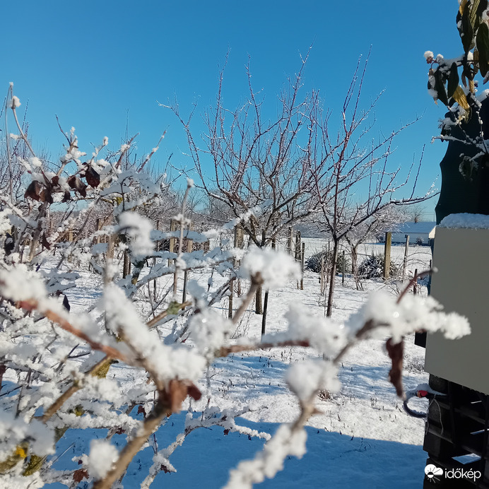 Észlelési fényképek