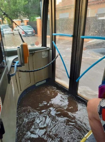 Molnár Igel Beáta Emese fotója