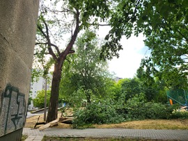 bdh5 fotója