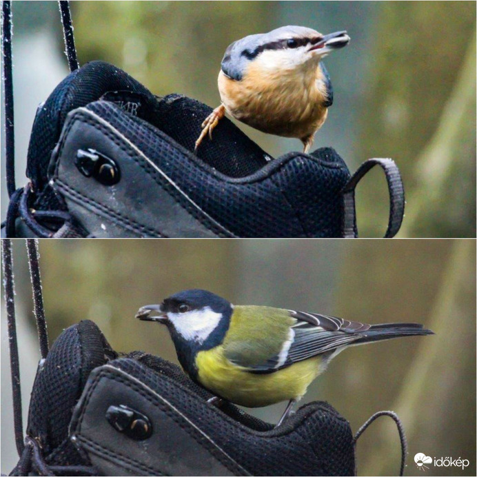 Jó ez a cipő, nem baj kicsit nagy .