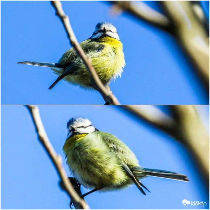 Nem csak az ég kék. 