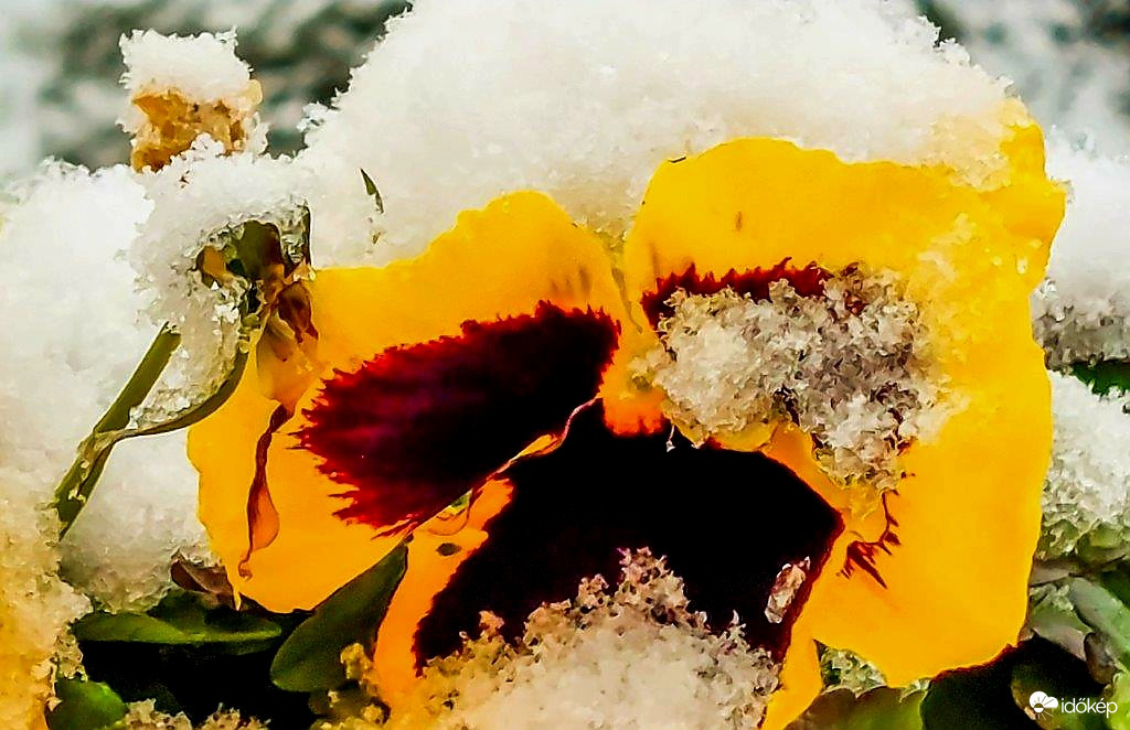 Az egyik szemem sír, a másik meg nevet. 