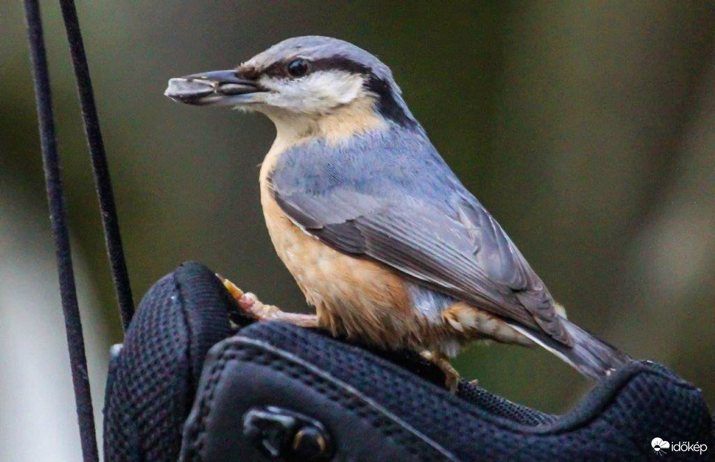 A raktárból viszem. 