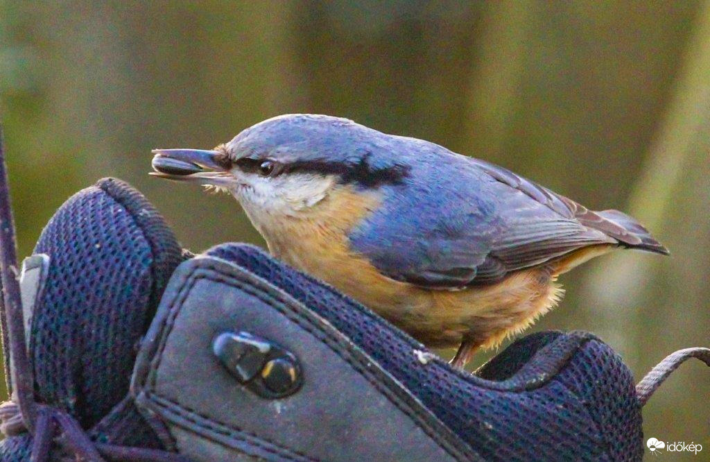A cipő nem csúszik, csak én. 