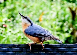 Borúra derü. Úgy nézem világosodik 