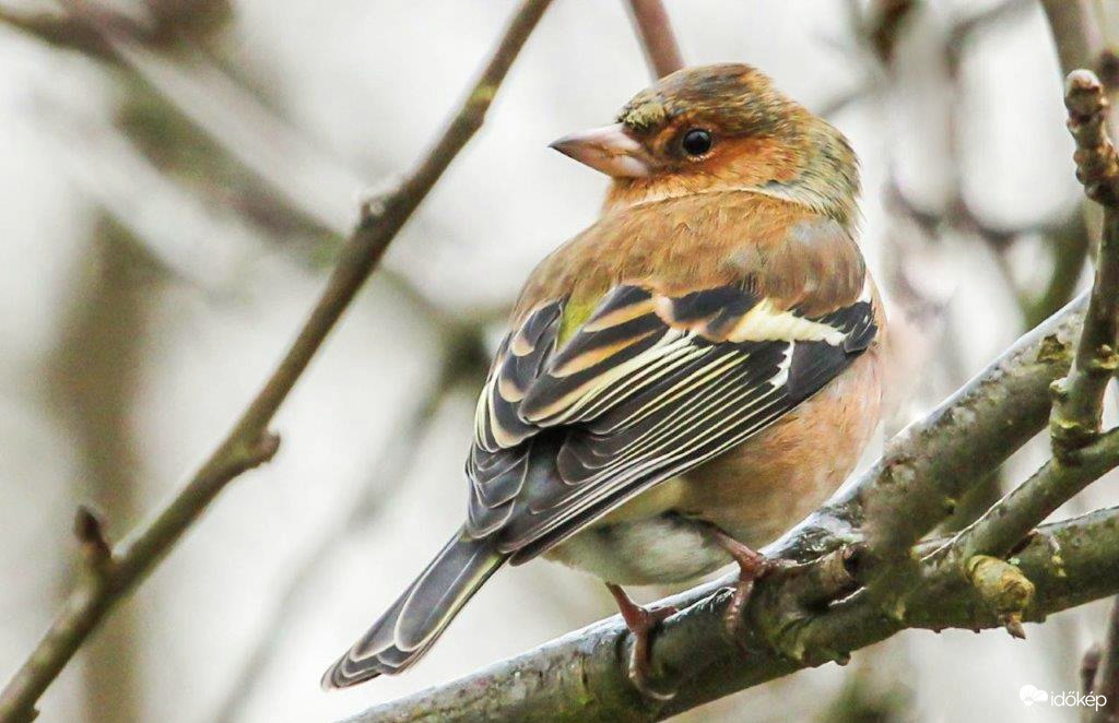 Visszatekintés. Piszok nehéz év volt 
