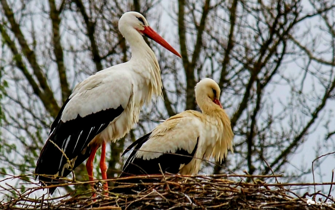 Reggeli ébredés után 