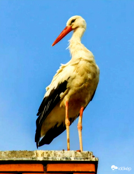 Indulásra felkészültem!