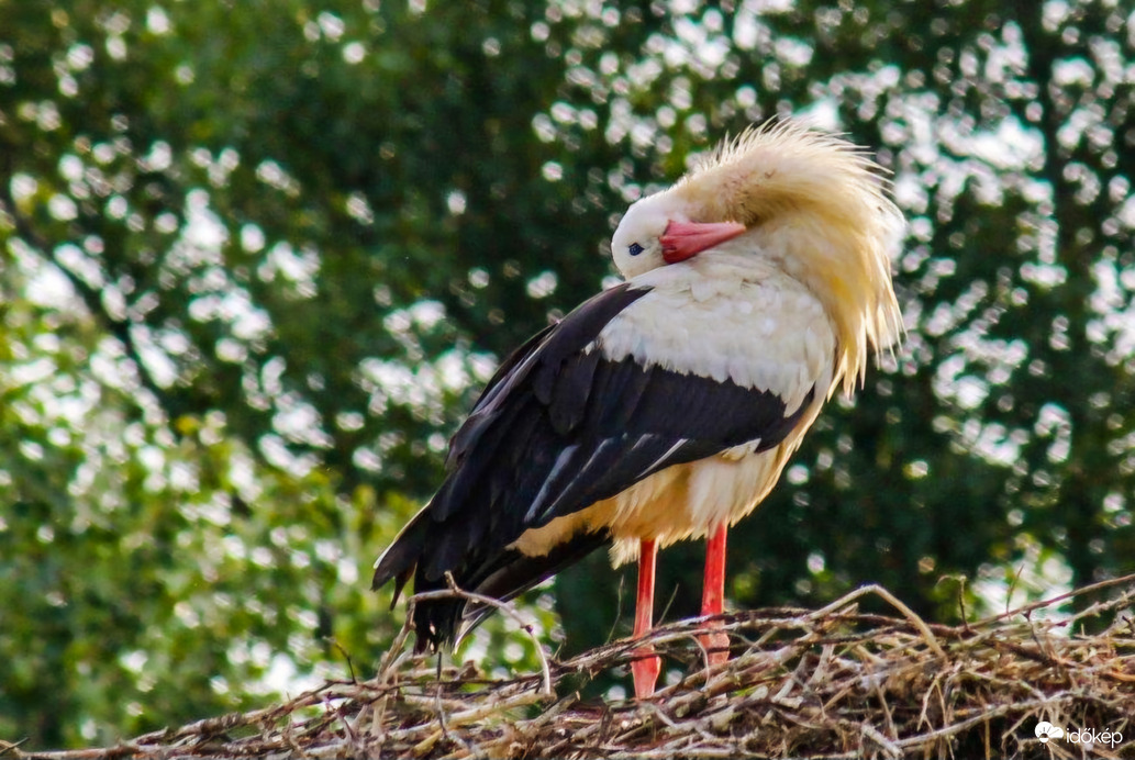 Sajnos indulni kell!