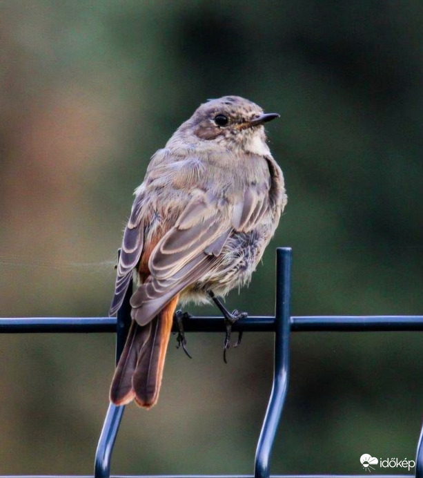 Vége van a nyárnak?