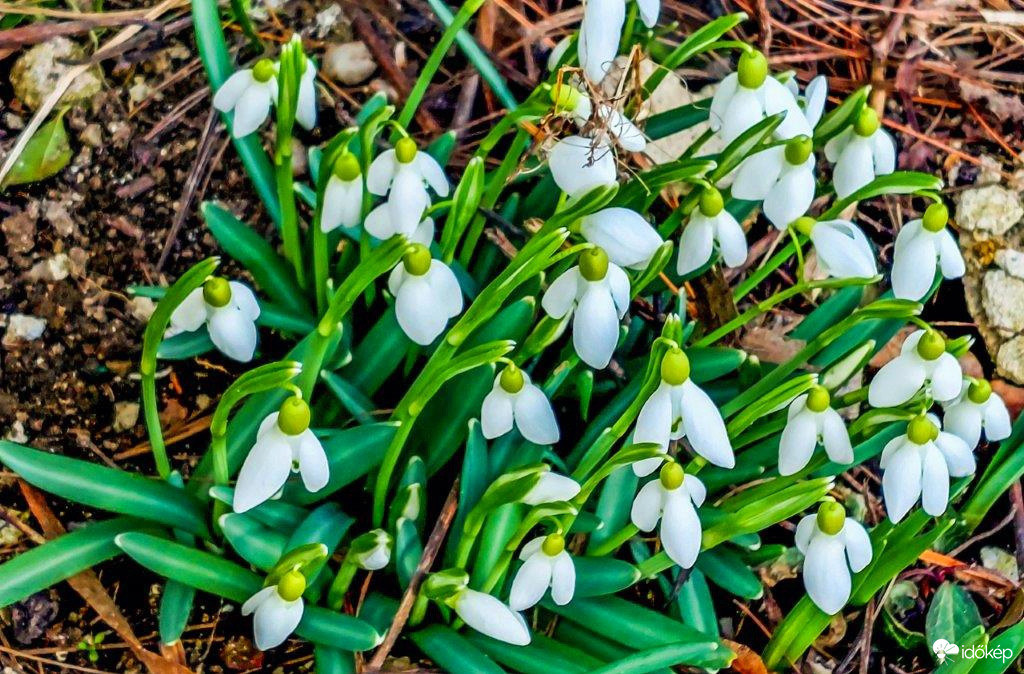 Tavaszodik?