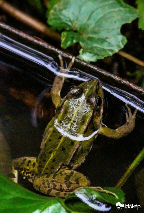 Elbújtam az eső elől. 