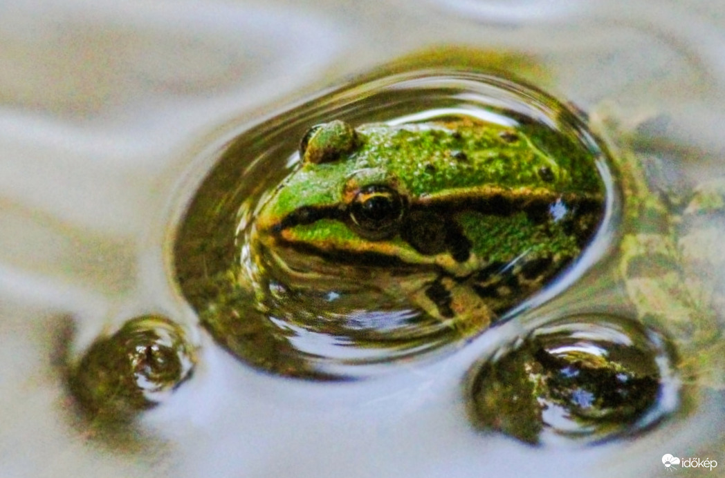 Alámerülés előtt 