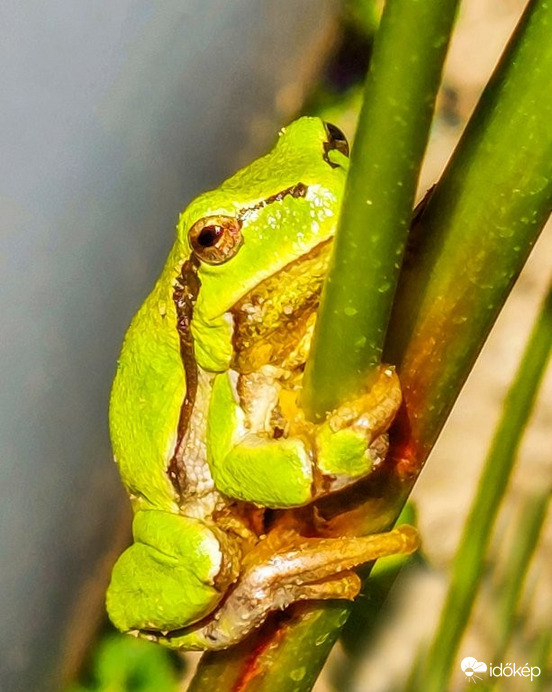 Napos idő várható!