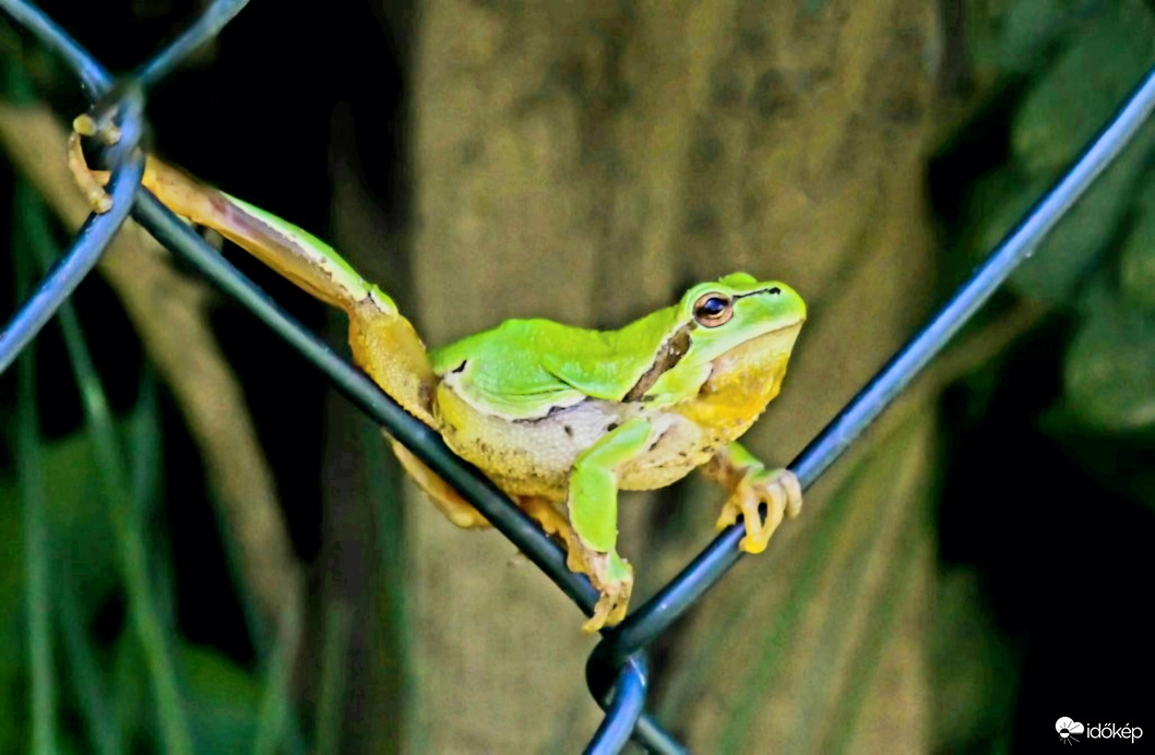 Segíts,mert beszorúlt a lábam és jön az eső!