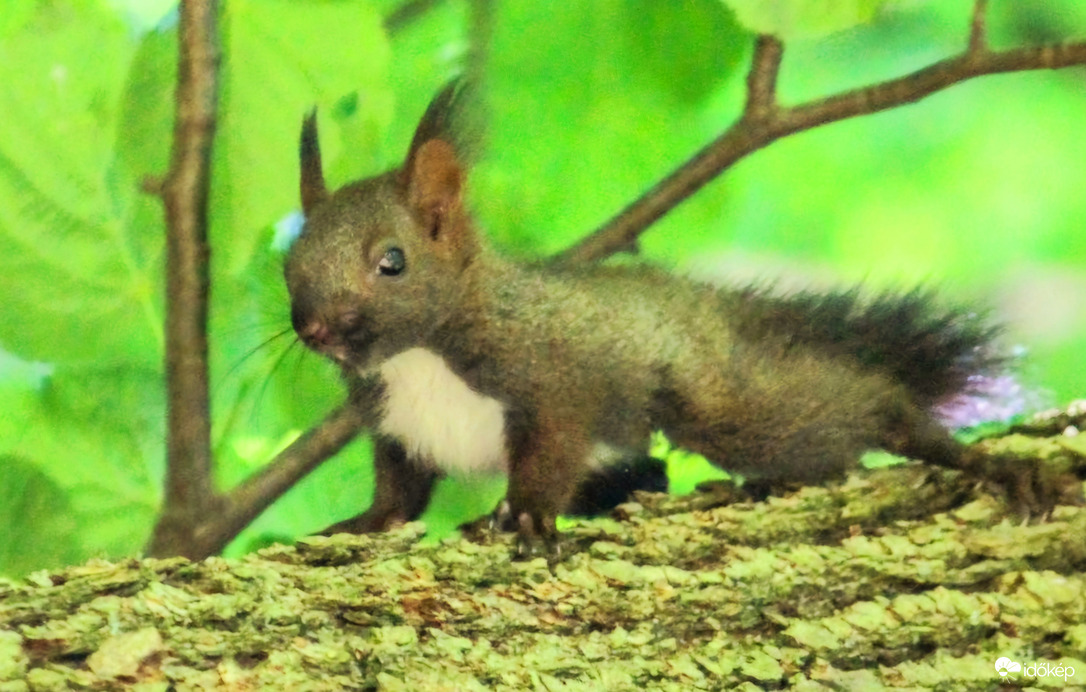 Jó reggelt, szép napot!