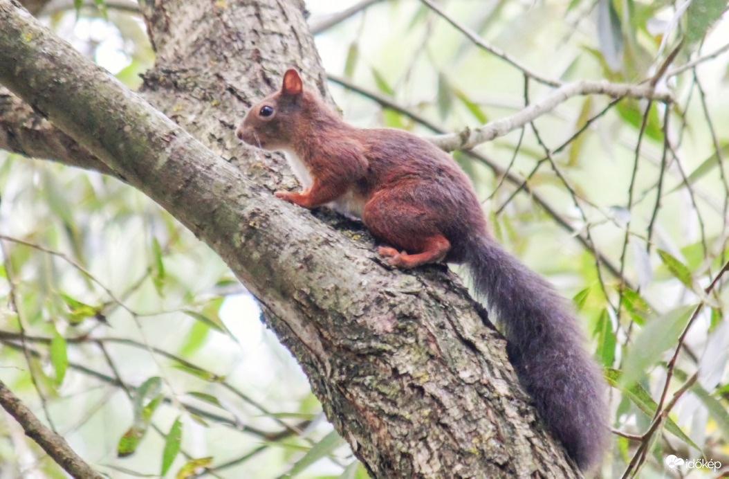Gyere utánnam, mutatok neked valamit!