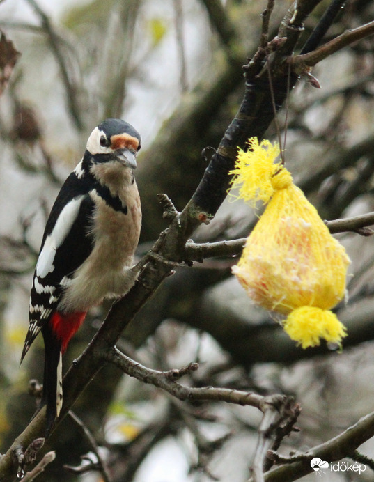 Ezt nekem raktad ide? Köszike!