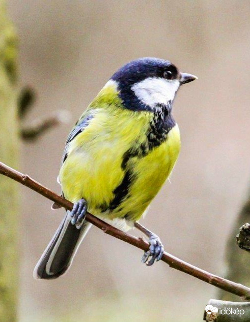 Elhagyott a párom, mi lesz velem Nyáron. 