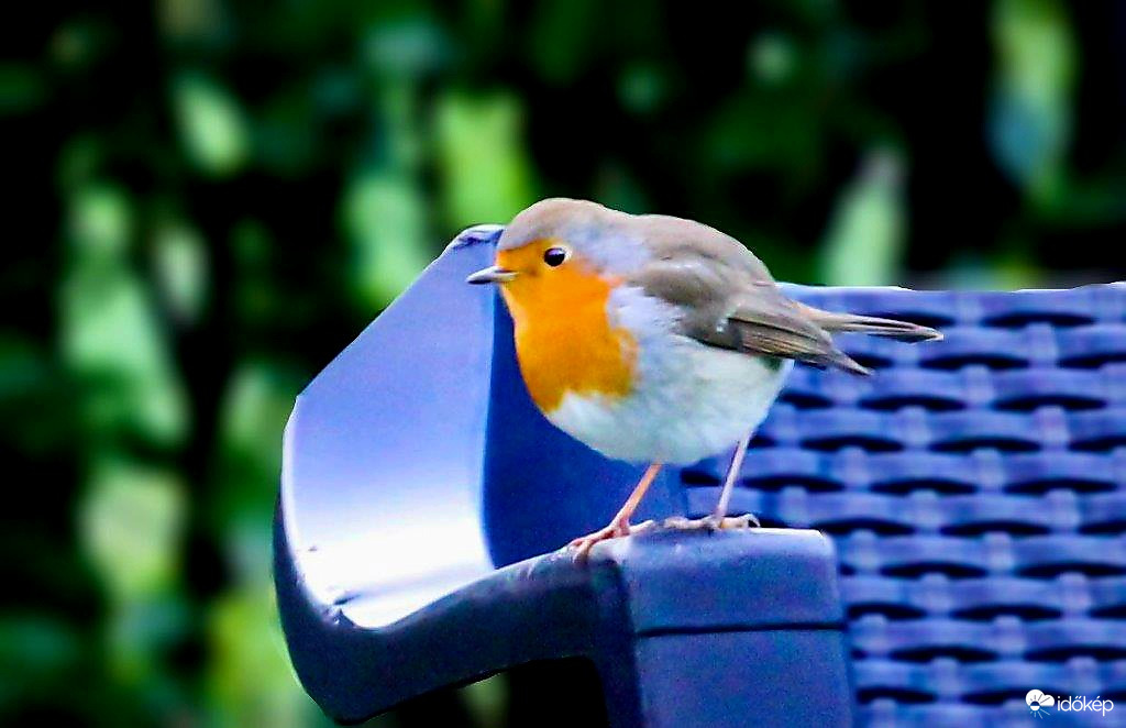 Elfáradtam, pihenek egy kicsit. 