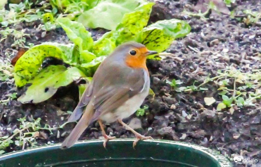 Üres itatóból nem tudok inni 