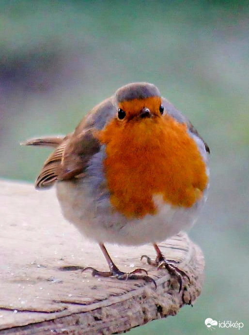 Vége van az ünnepeknek. 