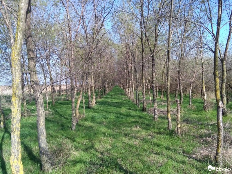 Észlelési fényképek