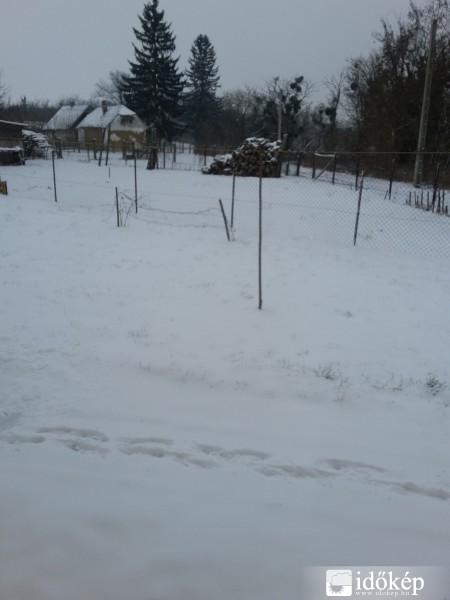 Észlelési fényképek