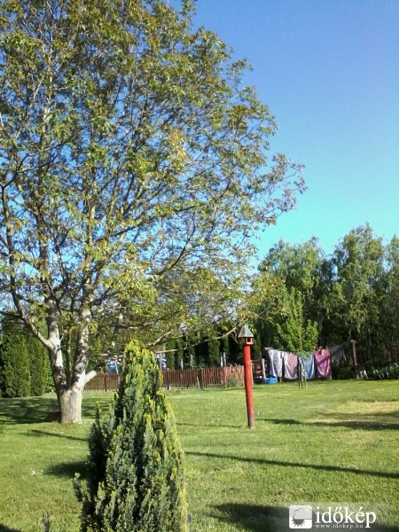 Észlelési fényképek