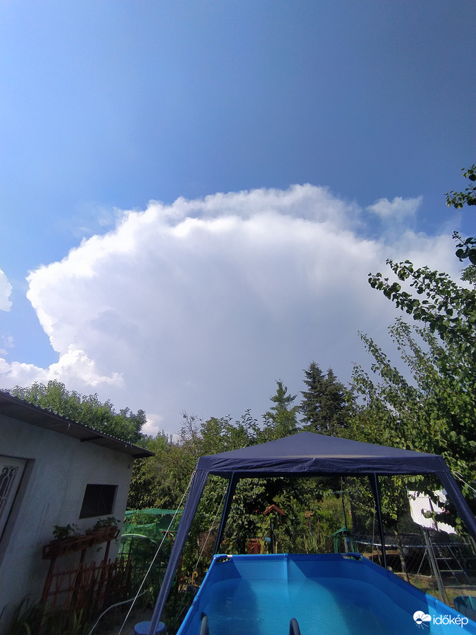 Észlelési fényképek