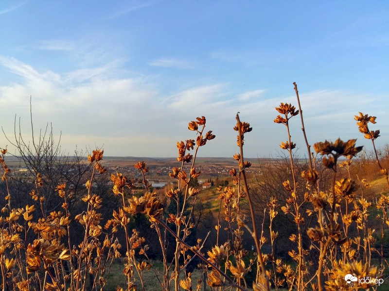 Zalaegerszeg - Gógánhegy
