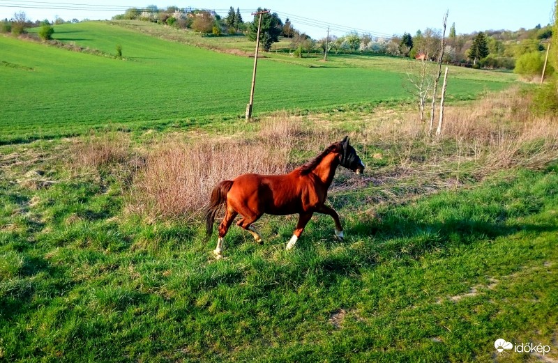 Zalaegerszeg - Egerszeghegy 