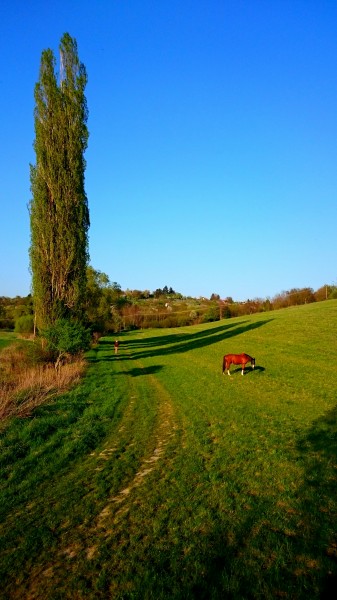 Zalaegerszeg - Egerszeghegy 