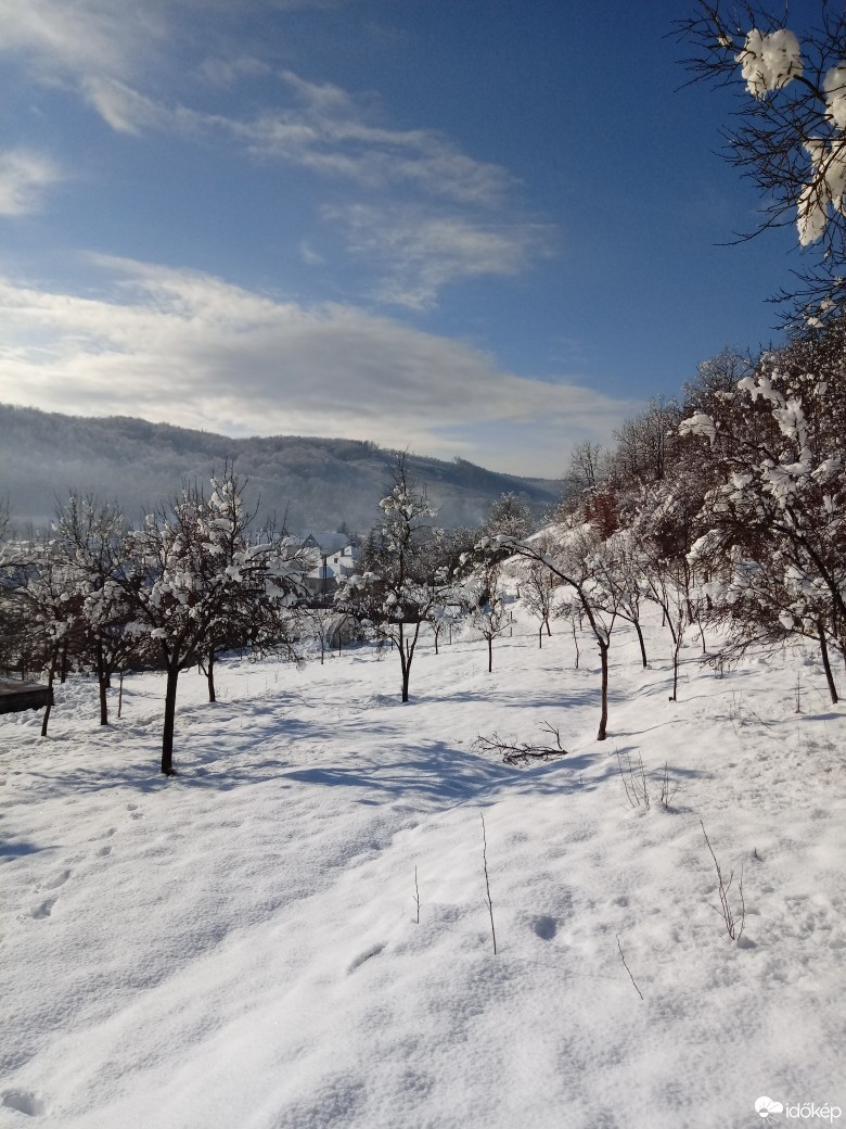 Észlelési fényképek