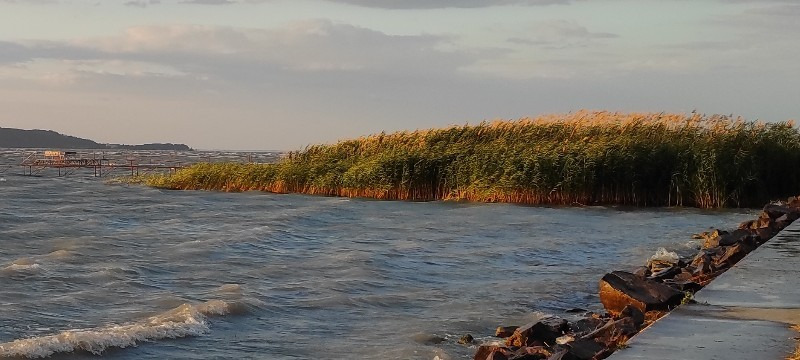 Balatonszárszó