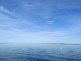 Balatonaliga