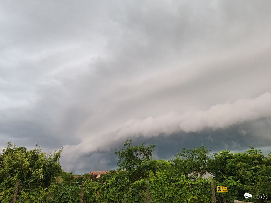 Észlelési fényképek