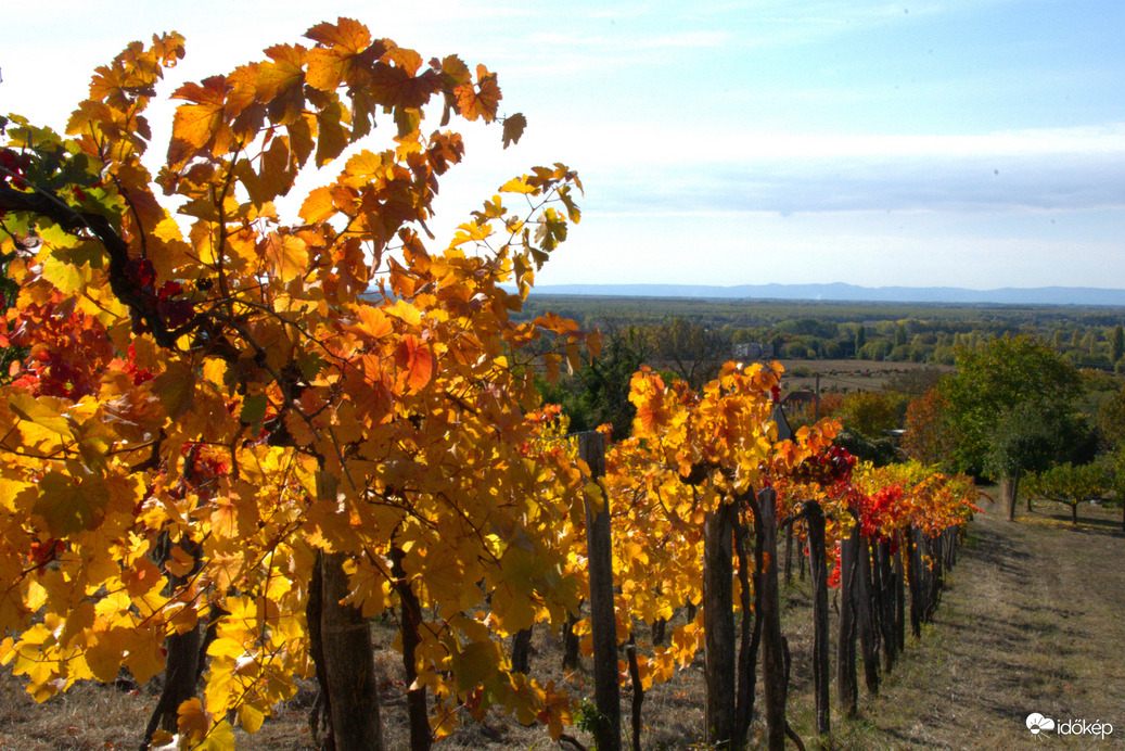 Őszi dűlő 