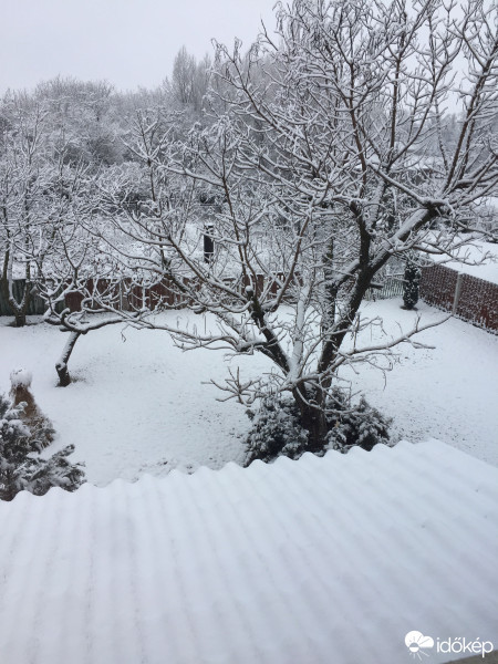 Észlelési fényképek