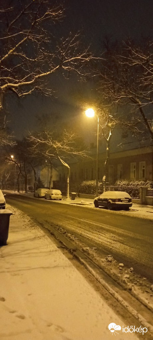 Észlelési fényképek