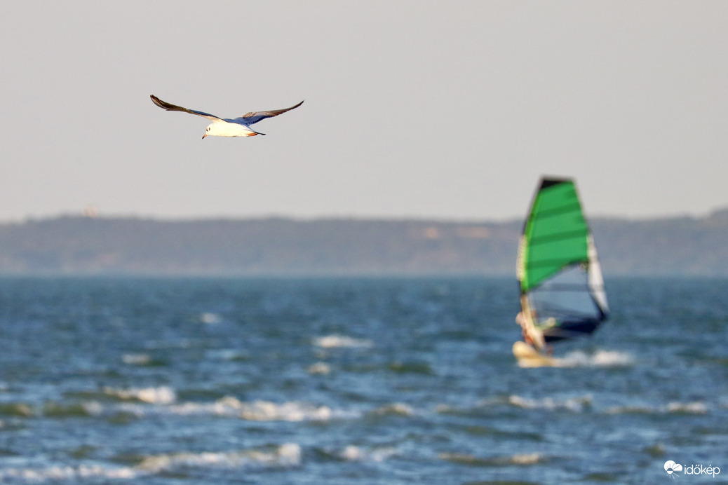 Balaton
