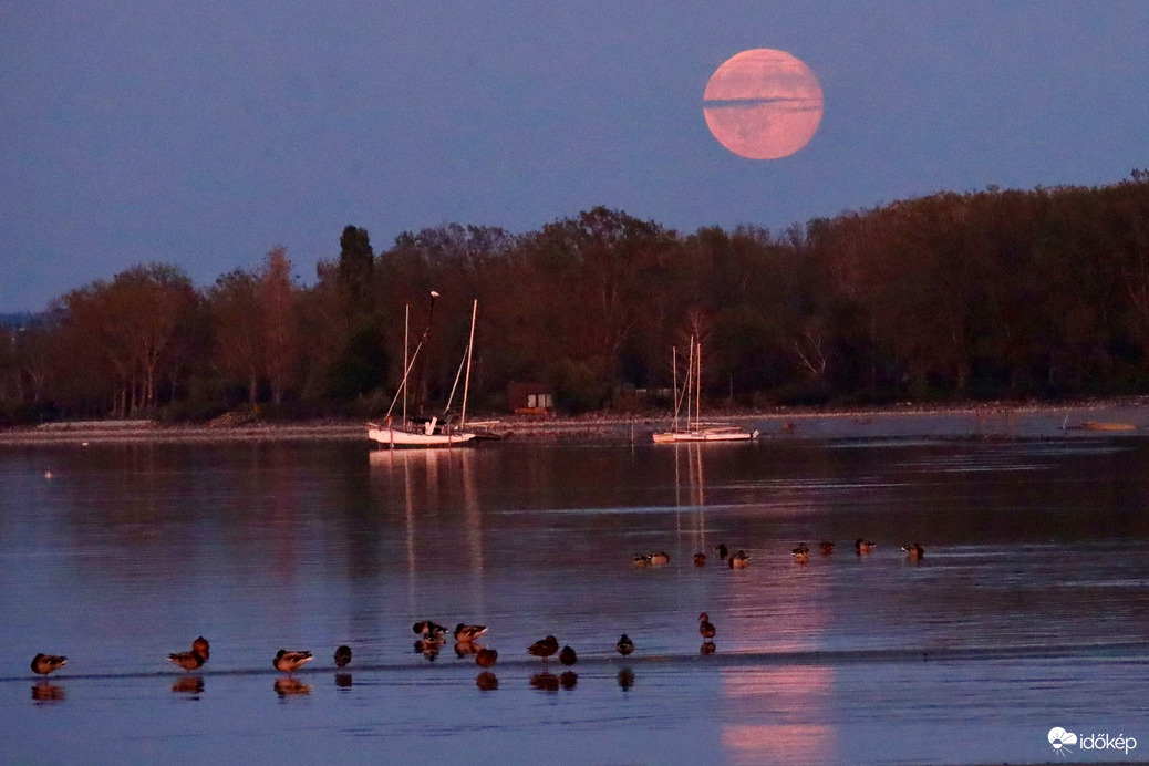 Balaton
